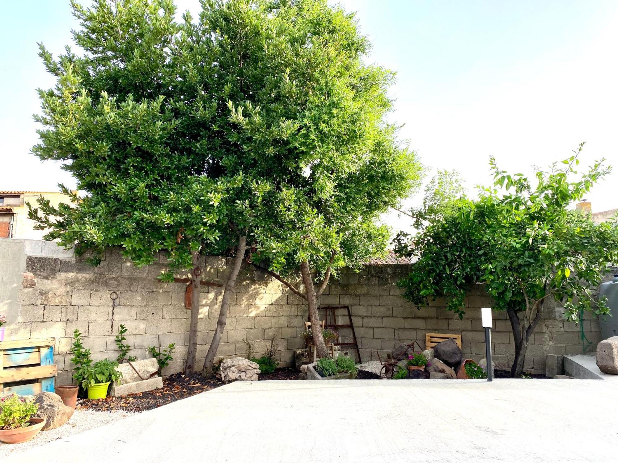 Apartamento Casa Meli San Vero Milis Exterior foto